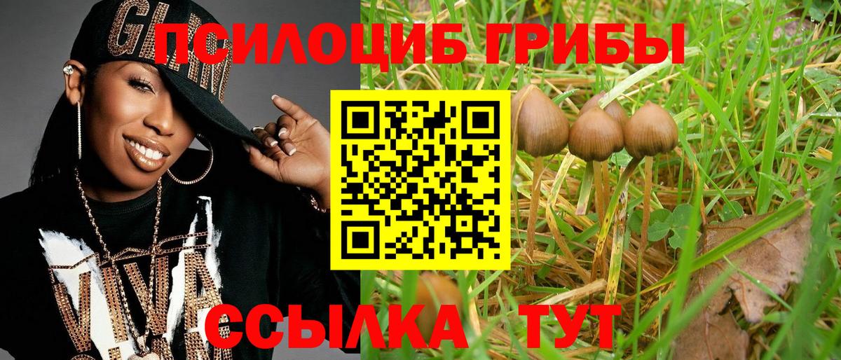 Галлюциногенные грибы мицелий Уссурийск
