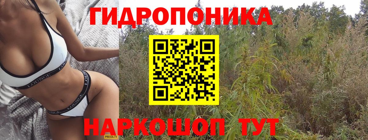 Конопля марихуана Уссурийск